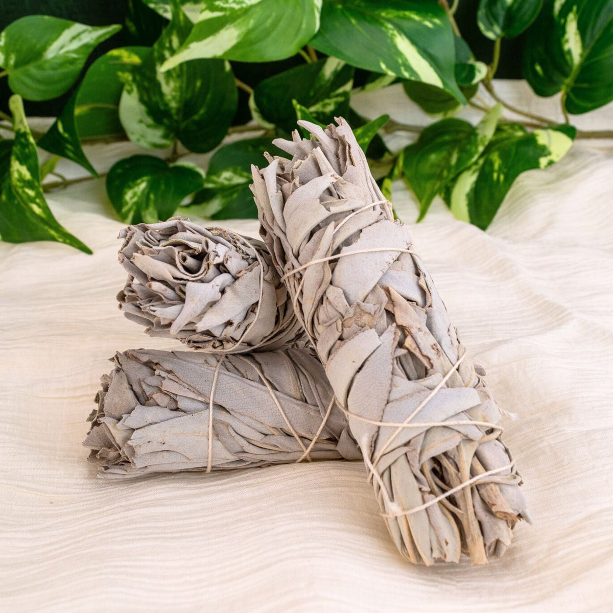 White Sage Smudge Stick